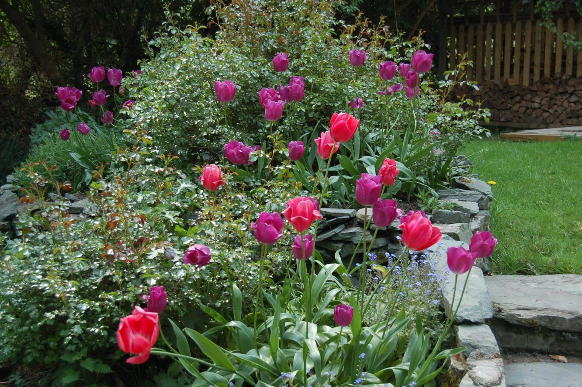 Beaufort Lodge B&B & Cottage Bagian luar foto