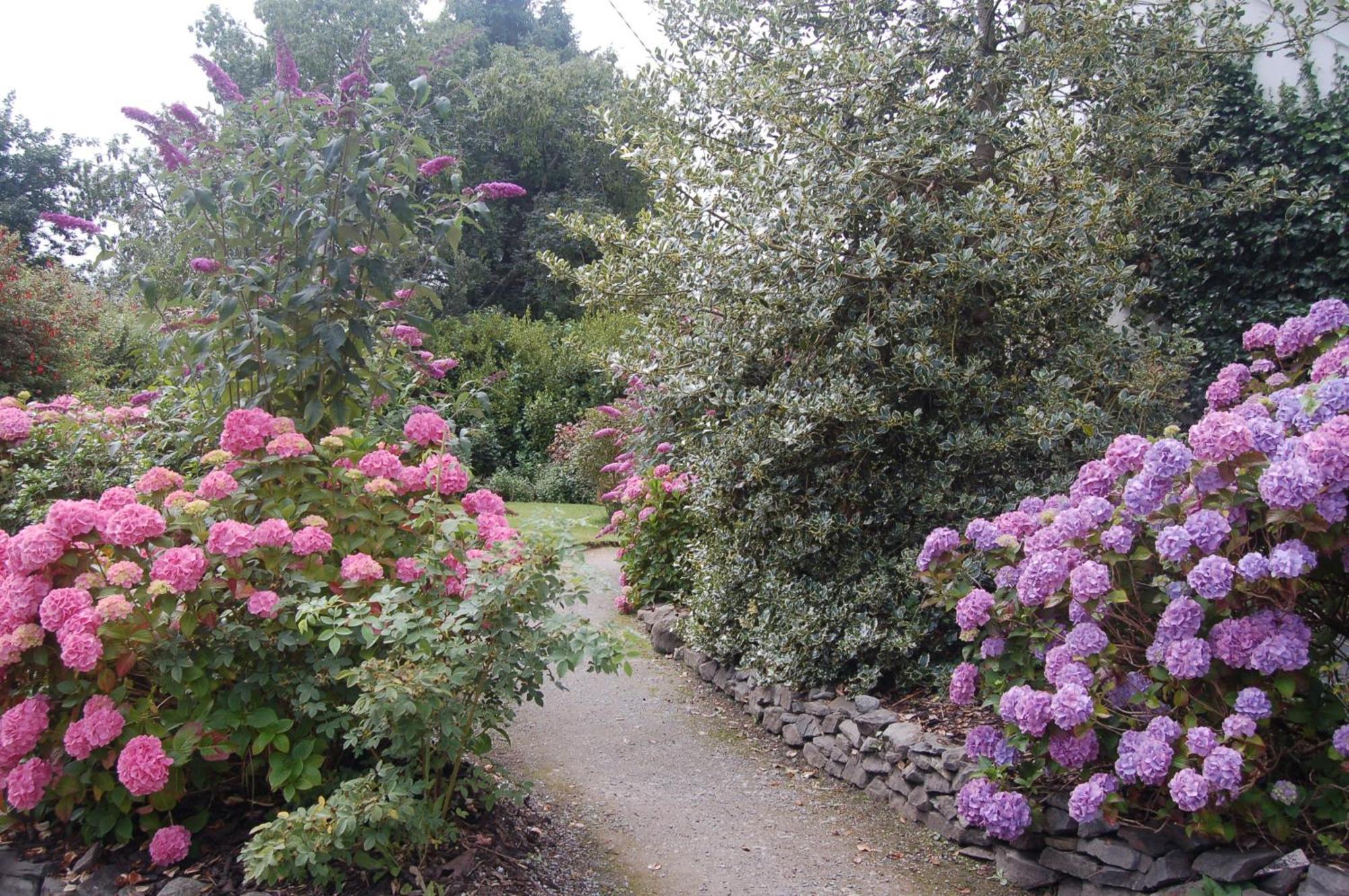 Beaufort Lodge B&B & Cottage Bagian luar foto